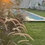 Elia Alacati Cesme